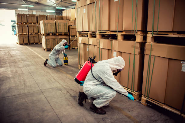 Best Affordable Pest Control Services  in Clendenin, WV