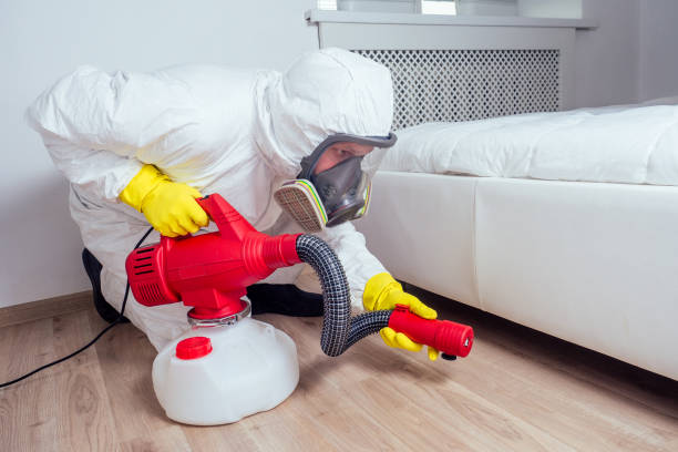 Best Bed Bug Extermination  in Clendenin, WV