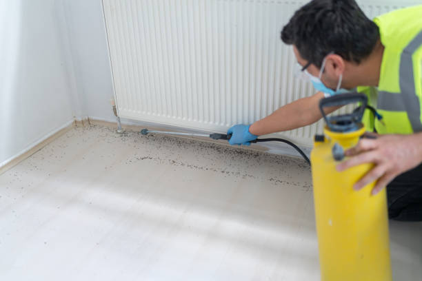 Best Affordable Pest Control Services  in Clendenin, WV