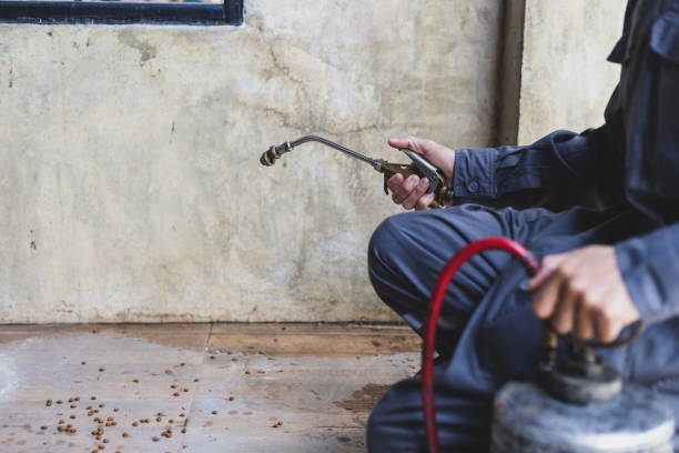 Best Pest Inspection Near Me  in Clendenin, WV