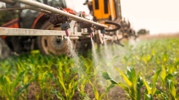 Best Ant Control Services  in Clendenin, WV